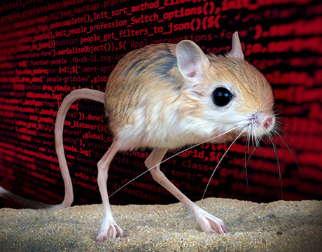 Rodents Help Robotics Leap Forward - ASME
