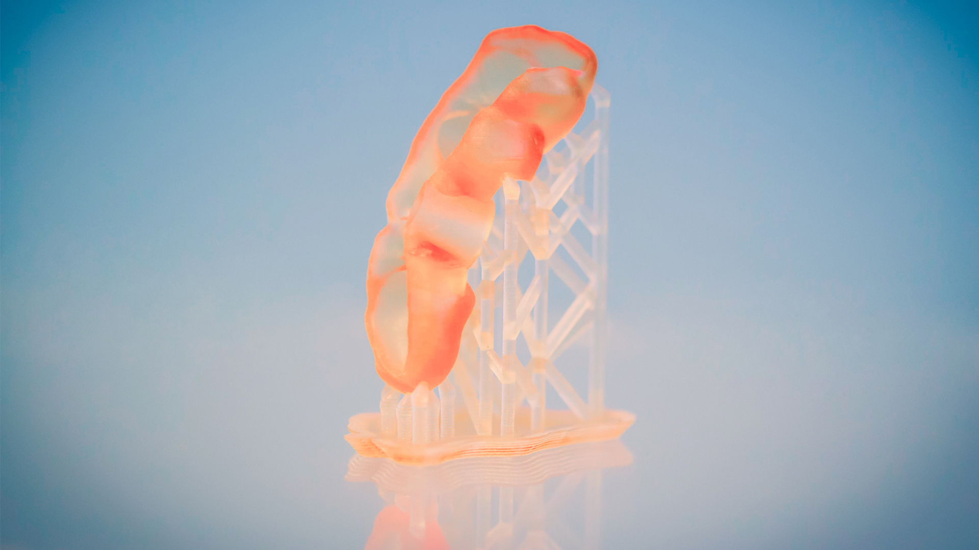 FRESH 3D Bioprinting for complex Structure and Function card thumbnail