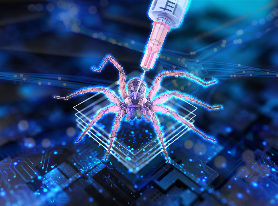 What is spider in technology?