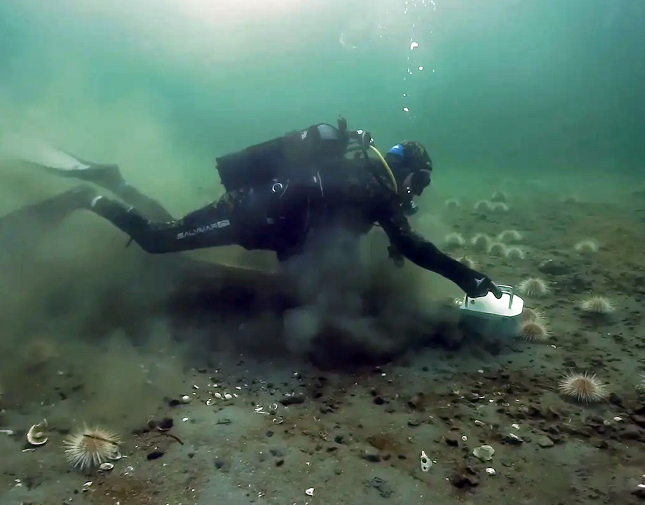 Tools Help Divers Destroy Invasive Sea Urchins - ASME