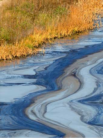 the deepwater horizon oil spill case study