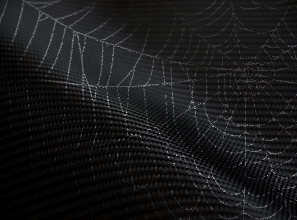 New protein found in strongest spider web material