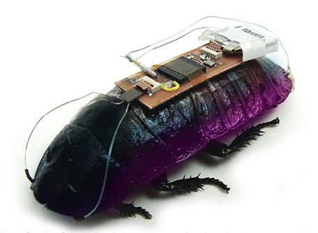 Article-March_of_the_Roaches-hero.jpg.aspx