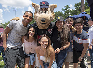 new jersey jackals internships