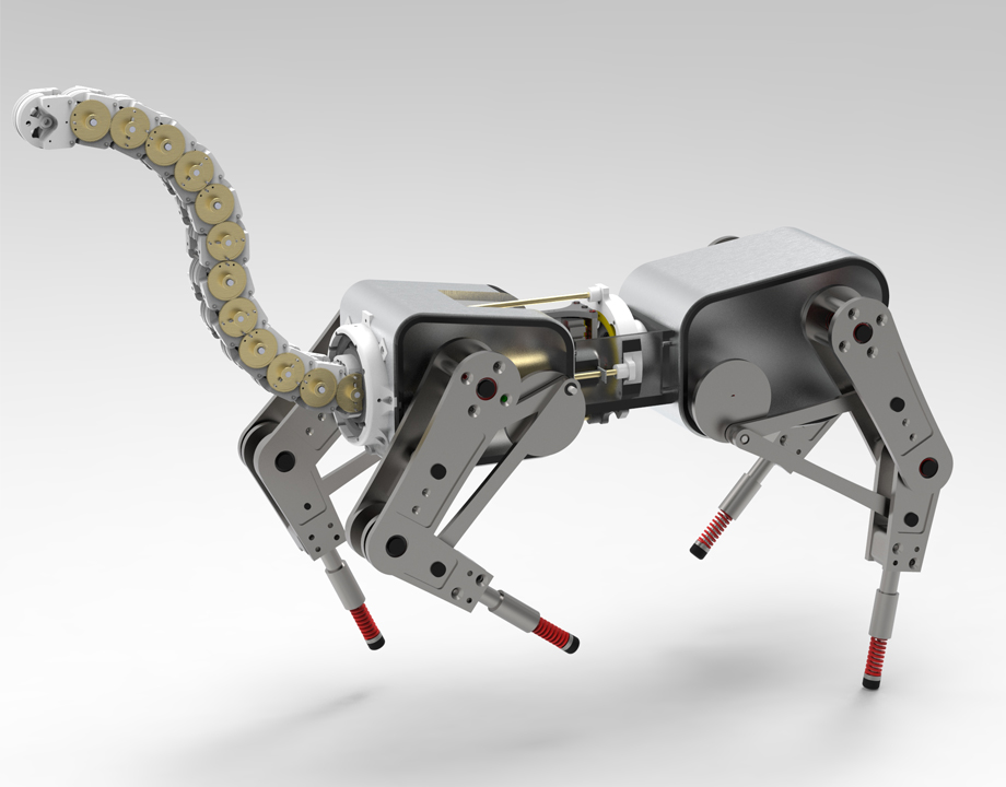 Engineers Study Tails for Robot Locomotion - ASME