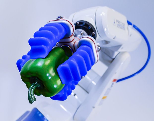 favorit pensum forbruge Soft grippers are revolutionizing robotic interactions. - ASME