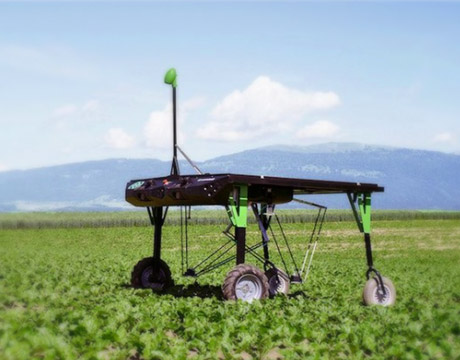 vinder Oprigtighed Holde Weed-Fighting Robots Could Replace Spraying - ASME