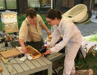 The Mechanics of Pellet-Carrying Honey Bees