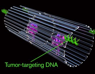 biomedical engineering research paper topics